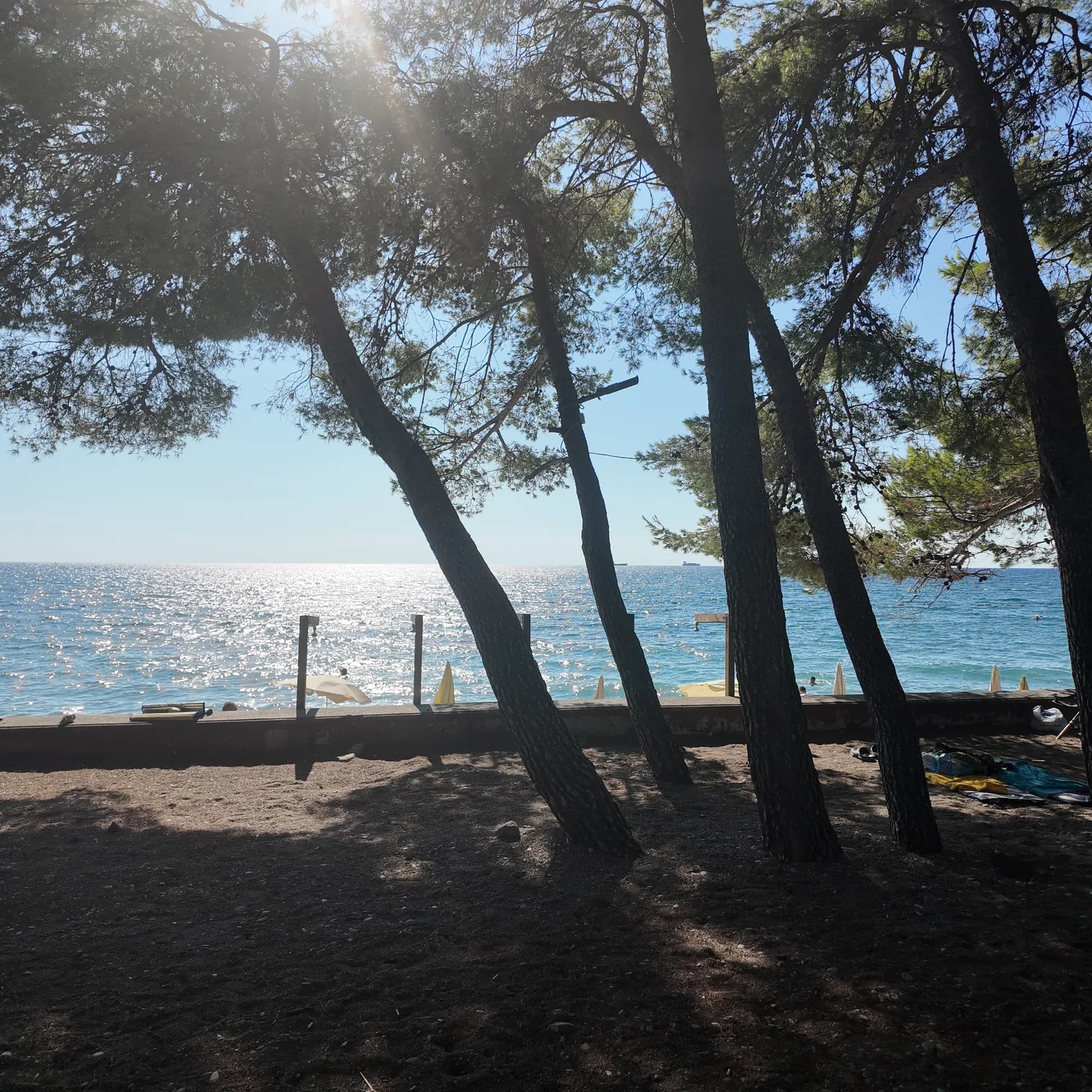 Žukotrlica: Playa de Bar Bajo los Pinos y la Orilla de los Cordeleros
